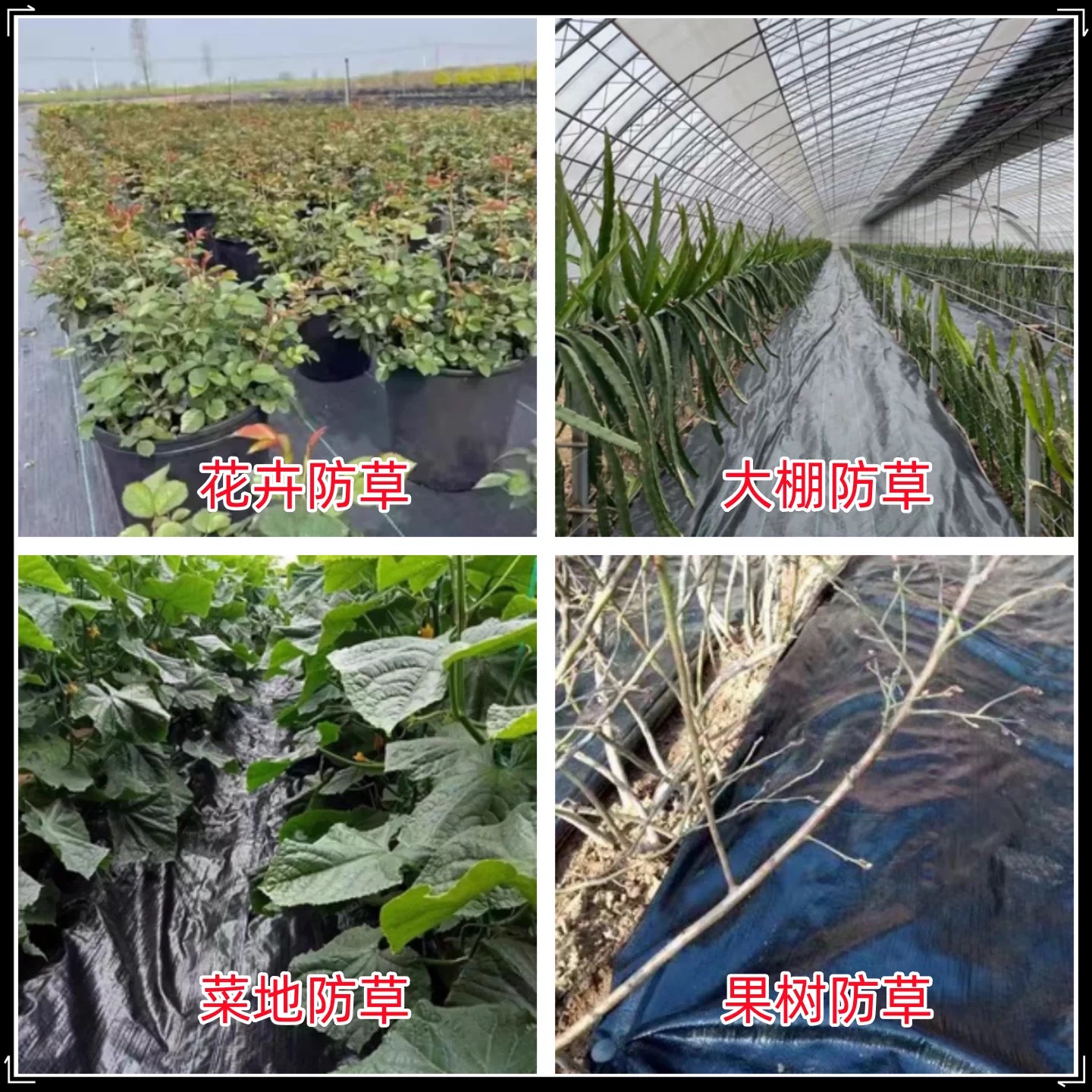 长沙市货车苫盖膜防草布 - 哪里好