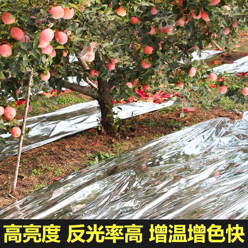 长沙市工程膜果树反光膜 - 方案